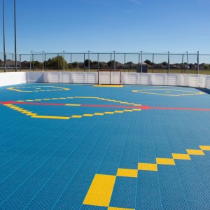backyard hockey rink